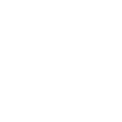 Twitter Logo White
